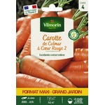 Carotte Colmar 1