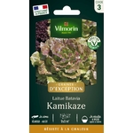 kamikaze 1