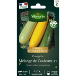 courgette 1