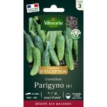 Parygino 1