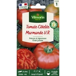 Marmande 1