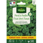 Persil frisé 1