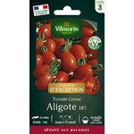 Aligote 1