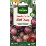 BLACK CHERRY 1