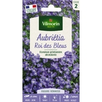 aubretia 1