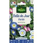 BELLE DE JOUR 1
