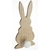 PATERE 1CRO LAPIN