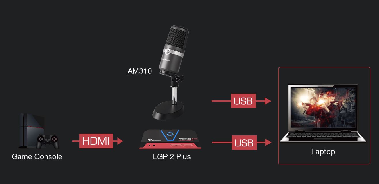 Matériels informatique microphone AVERMEDIA AM310 infinytech Réunion 4