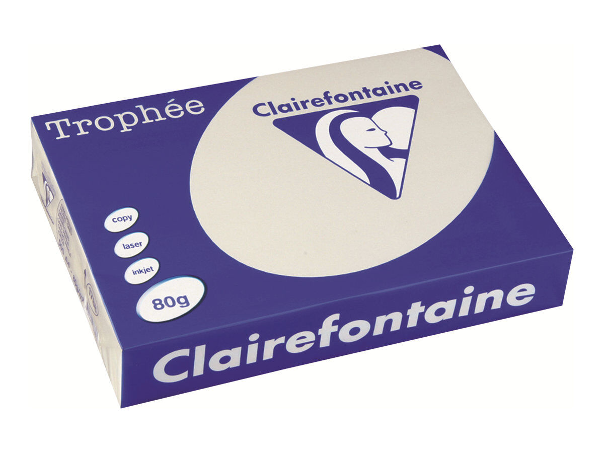Consommables informatique rame de 500 feuilles CLAIRE FONTAINE A4 80G Gris Perle infinytech Réunion 1