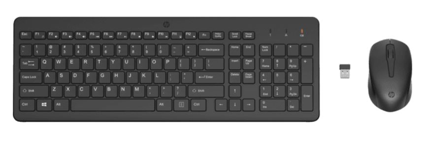 Pack avec clavier et souris sans fil MK295