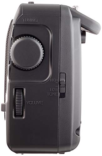 Matériels audio Radio PANASONIC RF-3500E9-K Noire infinytech Réunion 02
