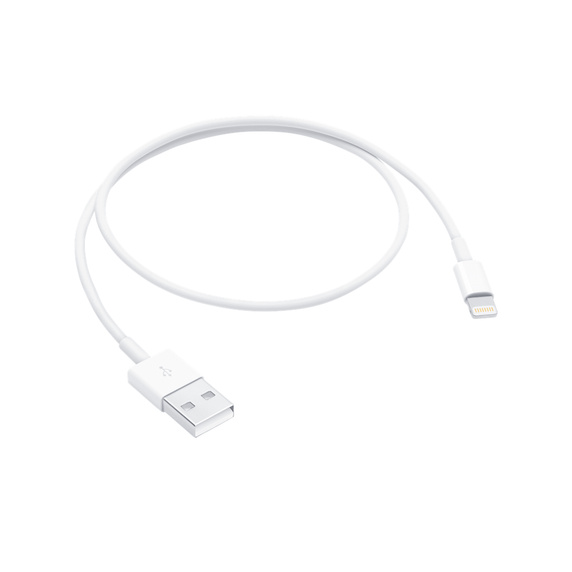 Accessoires téléphonie câble original APPLE ME291ZMA USB vers Lightning 0.5m Blanc infinytech Réunion 01