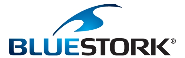 logo BLUESTORK