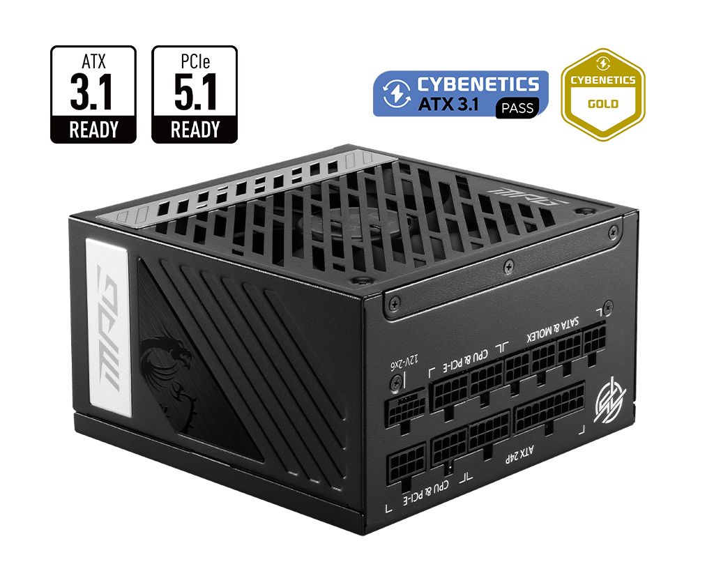 Matériels informatique alimentation MSI MPG A1000G PCIE5 infinytech Réunion 01