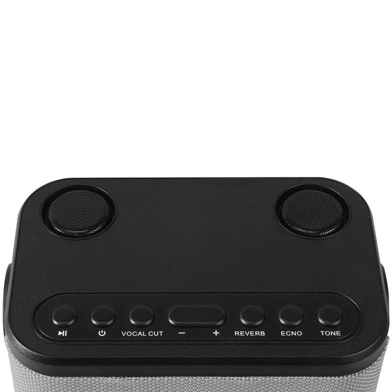 Matériels audio enceinte karaoké DYNABASS DBE50 Grise infinytech Réunion 04