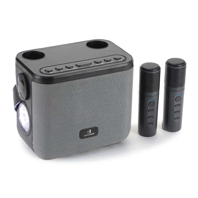 Matériels audio enceinte karaoké DYNABASS DBE50 Grise infinytech Réunion 01