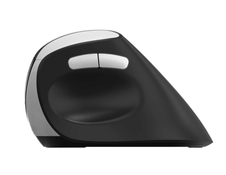 Matériels informatique souris ergonomique RAPOO EV250 Sans Fil infinytech Réunion 06