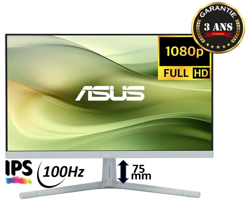 ASUS VU249CFE-G infinytech Réunion 10