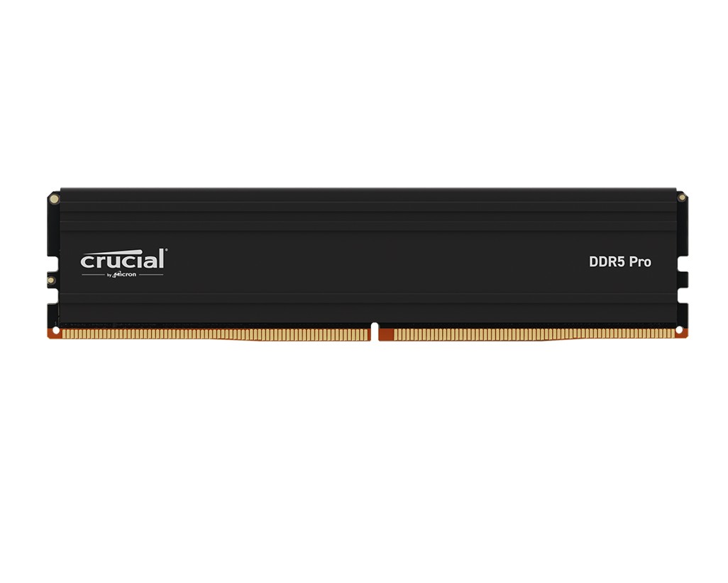 Matériels informatique DIMM CRUCIAL Pro 24Go DDR5 5600MHz Noir infinytech Réunion 01