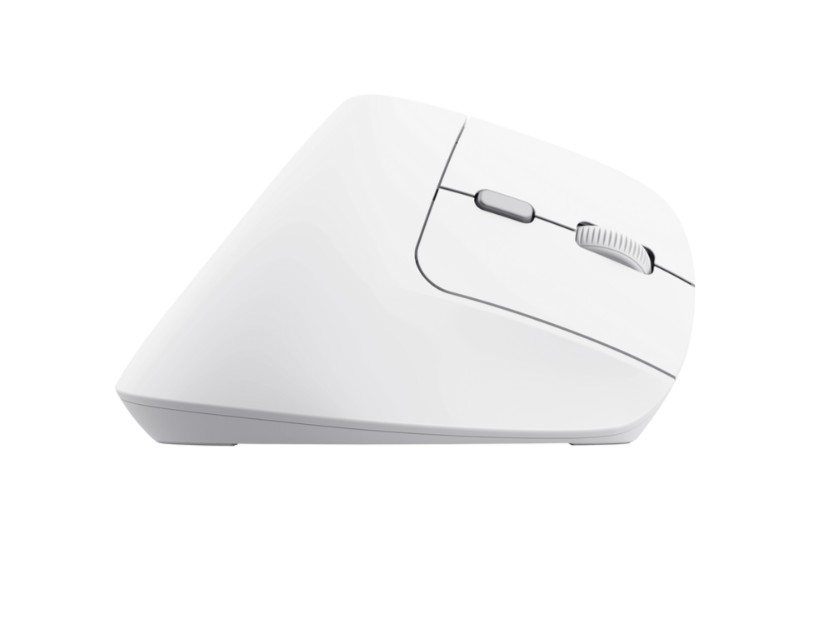 Matériels informatique souris ergonomique TRUST Bayo II Droitier Sans Fil Blanche infinytech Réunion 04