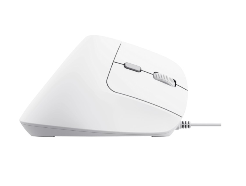 Matériels informatique souris ergonomique TRUST Bayo II Droitier Filaire Blanche infinytech Réunion 04