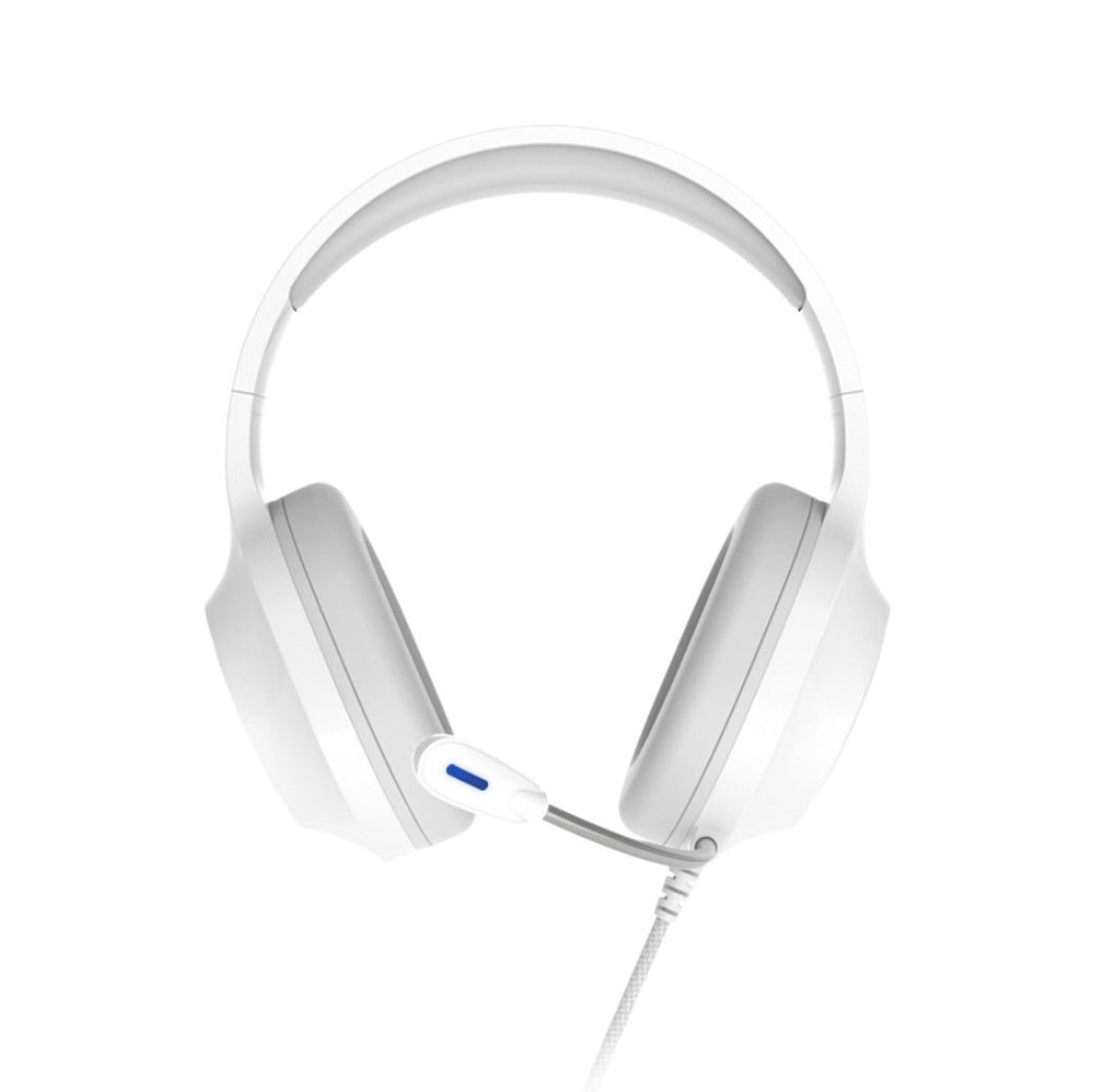 ZALMAN ZM-HPS310 RGB Blanc infinytech Réunion 02