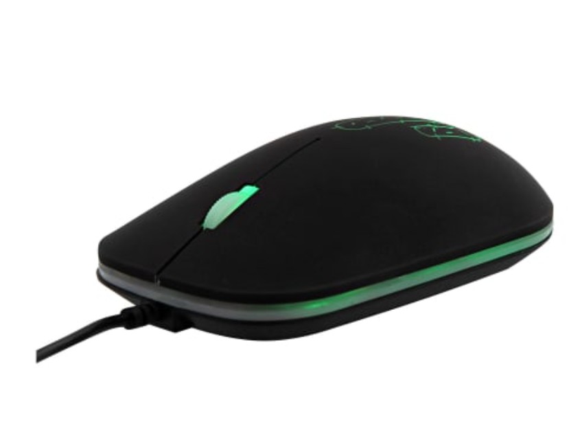 TNB Cactus Neon Noir infinytech Réunion 02