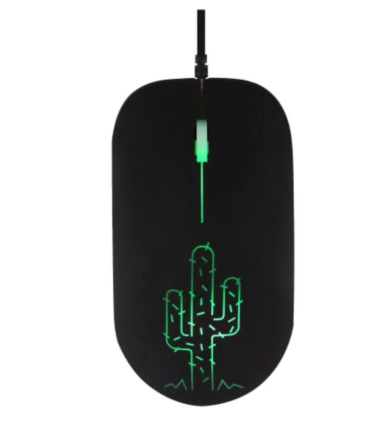 TNB Cactus Neon Noir infinytech Réunion 01