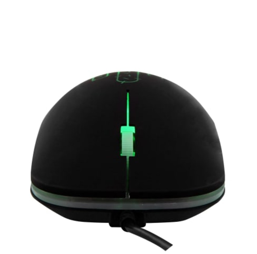 TNB Cactus Neon Noir infinytech Réunion 03