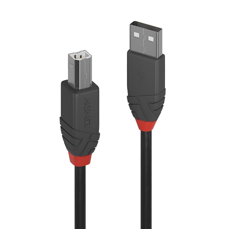 LINDY 36674 Câble USB 2.0 Type-A vers B 3m Noir infinytech Réunion 01