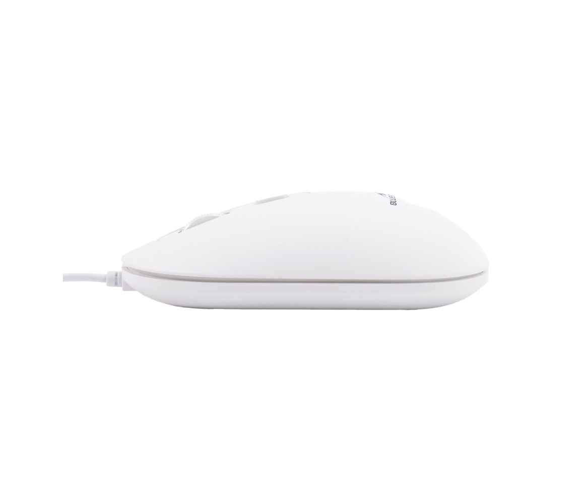 BLUESTORK Pack Mac Blanc Filaire infinytech Réunion 03