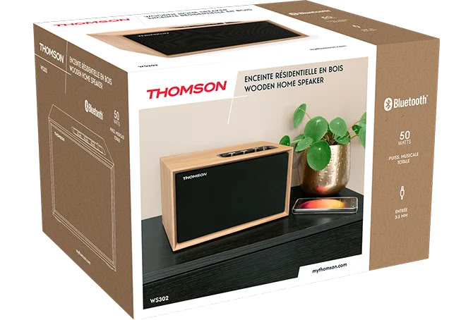 Enceinte résidentielle compacte en bois THOMSON WS302 infinytech Réunion 02
