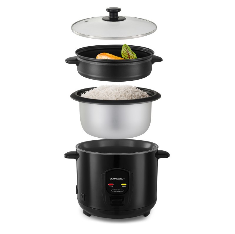 Schneider Souffle de Riz Noir infinytech Réunion 02