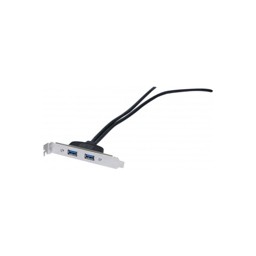 Equerre Slot ESATA 2 Ports - Neuf - Exertis Connect 145080