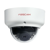 Caméra extérieure PoE 2MP FOSCAM D2EP 1080p