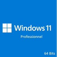 Microsoft Windows 11 Professionnel 64 Bits (DVD)