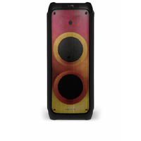 Enceinte nomade SCHNEIDER GMSCHPFL500W