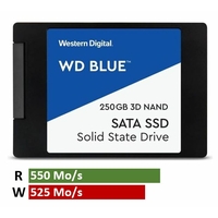SSD 2.5 WESTERN DIGITAL Blue WDS250G2B0A 250 Go