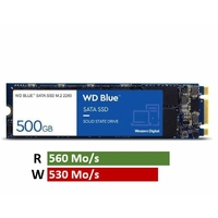SSD M.2 SATA WESTERN DIGITAL Blue 500 Go