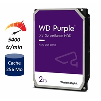 HDD 3.5 WESTERN DIGITAL Purple WD22PURZ 2 To