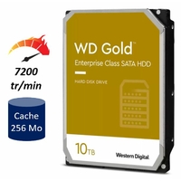 HDD 3,5" WESTERN DIGITAL Gold WD102KRYZ 10 To