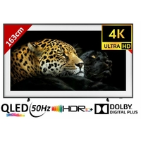 TV QLED SAMSUNG QE65LS03A 64" 163cm 4K