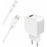 Chargeur secteur BIGBEN 3A Fast Charge + Câble USB-C