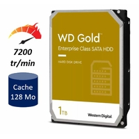 HDD 3.5 WESTERN DIGITAL WD1005FBYZ Gold 1To