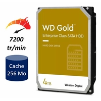 HDD 3.5 WESTERN DIGITAL WD4003FRYZ Gold 4To
