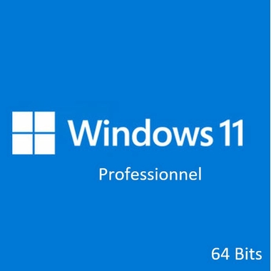 Logiciels informatique Windows 11 Pro 64 Bits infinytech Réunion 01