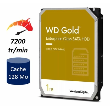 Matériels informatique disque dur WESTERN DIGITAL WD Gold DC WD1005FBYZ 1To infinytech Réunion 01