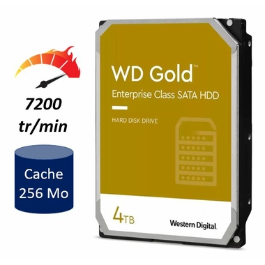 Matériels informatique disque dur WESTERN DIGITAL WD Gold WD4003FRYZ 4To infinytech Réunion 01