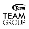 Logo TEAM GROUP