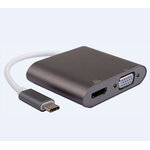 Matériels informatique adaptateur USB-C vers HDMI et VGA infinytech Réunion 1